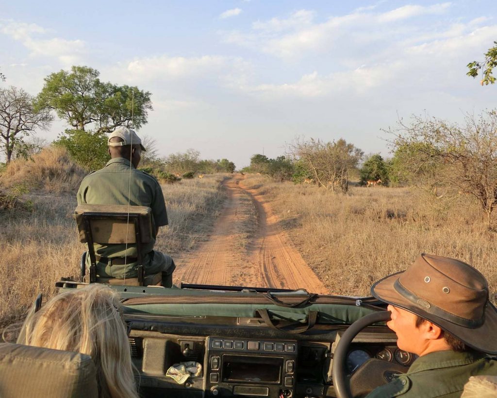 safari-animalier-parc-kruger