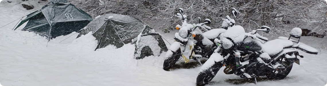 la truff hivernale dordogne