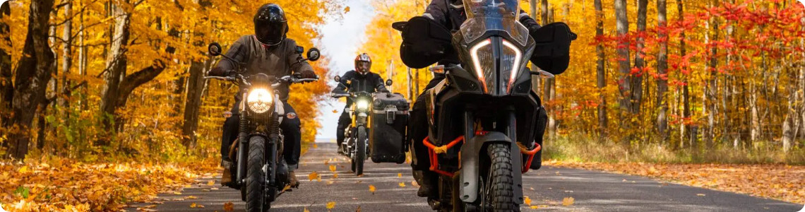 rassemblement moto hivernal des lézards saint vite