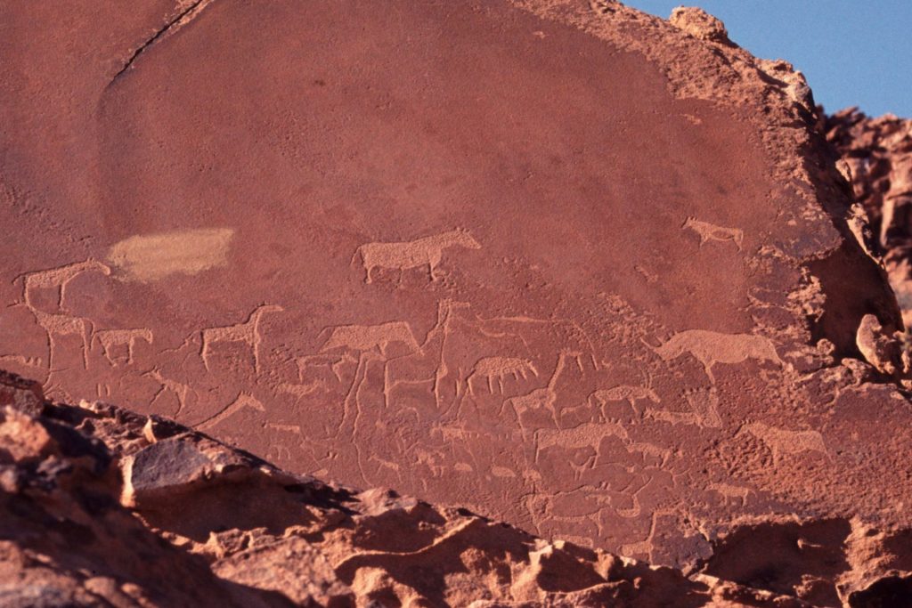 les dessins préhistoriques de Twyfelfontein​