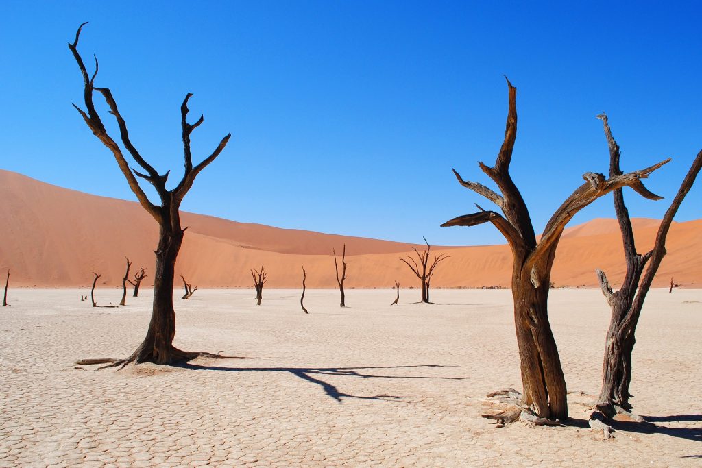 désert deadvlei