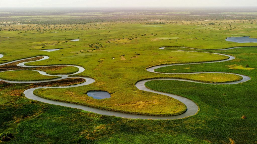 delta d'okavango