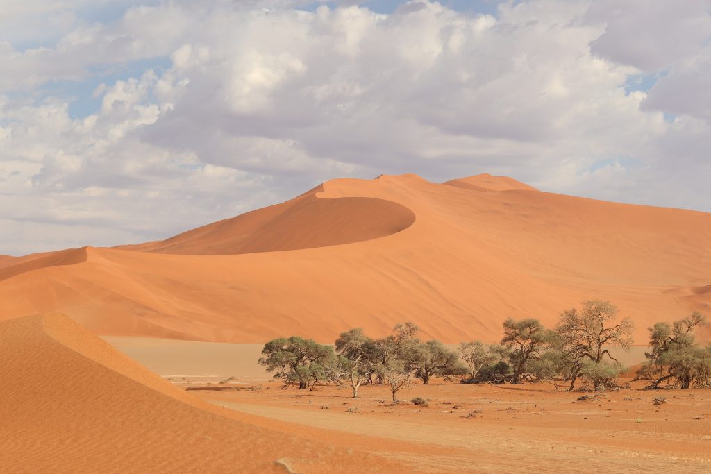 dunes de soussusvlei